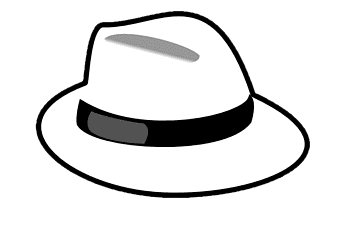 White Hat Cyber Image